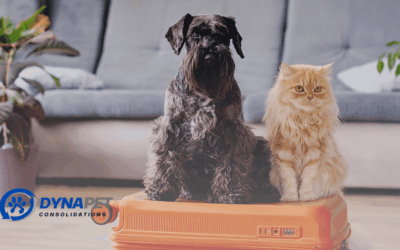 Dynalog Launches Pet Travel Division